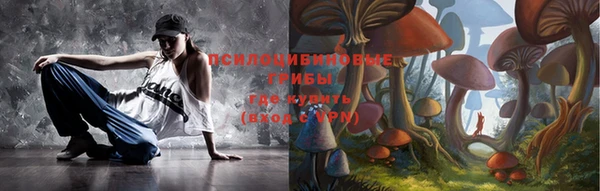 винт Осинники