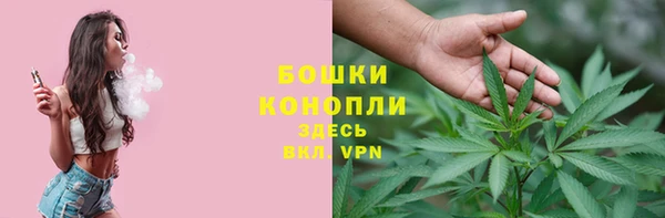 прущий лед Белокуриха