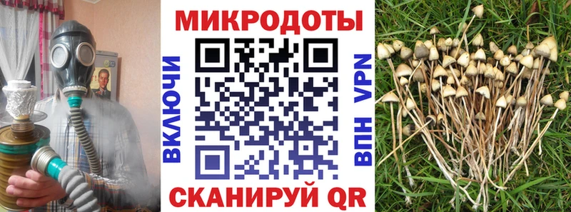Галлюциногенные грибы мухоморы kraken сайт Светлогорск